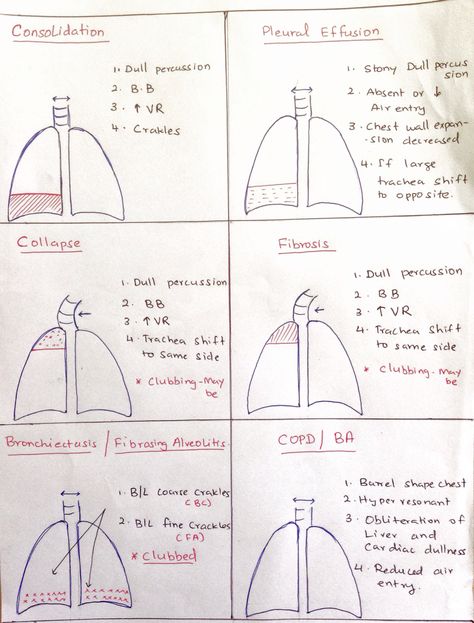 Respiratory Care Practitioner, Respiratory System Disorders, Breathing Patterns Respiratory, Respiratory Disorders Nursing, Emt Respiratory Emergencies, Tmc Respiratory Exam, Respiratory System Nursing Notes, Respiratory Physiotherapy, Respiratory Therapist Aesthetic