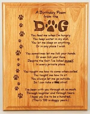 A birthday poem from the dog. Dog Birthday Quotes, Dog Birthday Wishes, Puppy Quotes, Dog Poems, Dog Lover Quotes, Happy Birthday Dog, Birthday Cake Card, Birthday Poems, Birthday Message