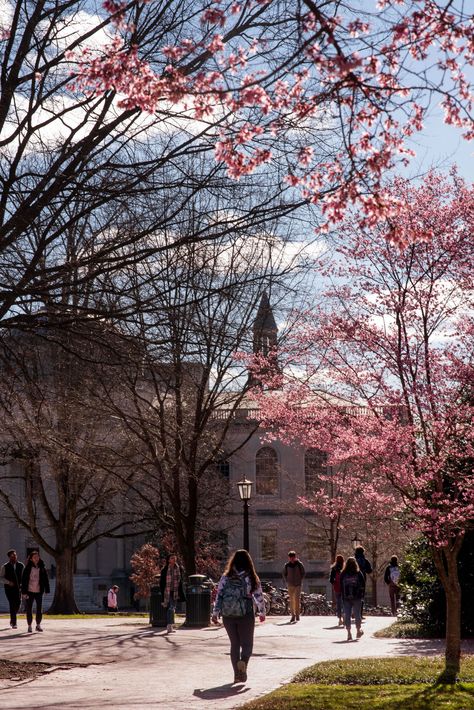 University North Carolina, North Carolina University Aesthetic, University Of North Carolina Aesthetic, Unc At Chapel Hill, University Of North Carolina Chapel Hill Aesthetic, Chapel Hill North Carolina Aesthetic, University Of North Carolina Chapel Hill, Chapel Hill Aesthetic, Unc Chapel Hill Aesthetic