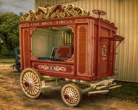 Circus Carriage, Circus Wagon, Haunted Circus, Circus Makeup, Antique Wagon, Old Circus, Circus Aesthetic, Halloween Circus, Circus Train