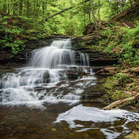 Pennsylvania Hikes, Hiking Places, Camelback Mountain, Hiking Spots, Waterfall Hikes, Fall Hiking, Nature Preserve, Get Outdoors, Travel Sites