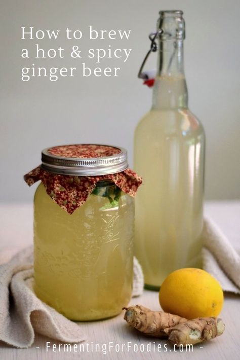 Homemade Ginger Beer, Cranberry Ginger Ale, Ginger Beer Recipe, Homemade Ginger Ale, Ginger Bug, Ale Recipe, Alternative Sweeteners, Kombucha Recipe, Homemade Soda