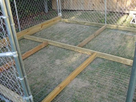 Kennel reccomandations - Pitbulls : Go Pitbull Dog Forums Dog Run Roof Ideas, Dog Kennel Roof Ideas, Kennel Flooring Ideas, Dog Kennel Roof, Dog Kennel Flooring, Dog Kennel Ideas, Kennel Ideas Outdoor, Cheap Dog Kennels, Metal Dog Kennel