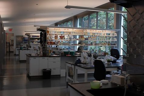 "inside lab" Pfizer | Glassdoor Photos Laboratory Design, Office Photos, Medical Laboratory Science, Photo Room, Pharma Companies, Laboratory Science, Research Lab, Meeting Rooms, Science Lab