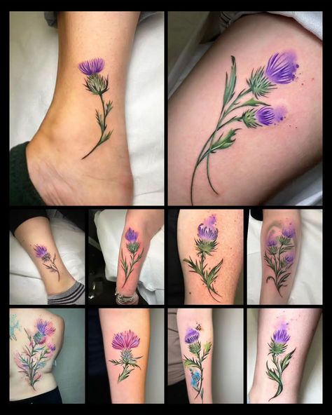 Thistle Tattoos, Highland Cow Tattoo, Thistle Flower Tattoo, Just Breathe Tattoo, Scotland Tattoo, Watermelon Tattoo, Scottish Thistle Tattoo, Scottish Tattoo, Scottish Tattoos