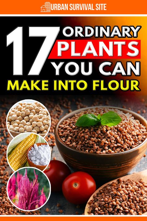 Make Flour, How To Make Flour, Make Almond Flour, Survival Food Storage, High Protein Flour, Emergency Preparedness Food, Doomsday Preppers, Making Quinoa, Bean Flour