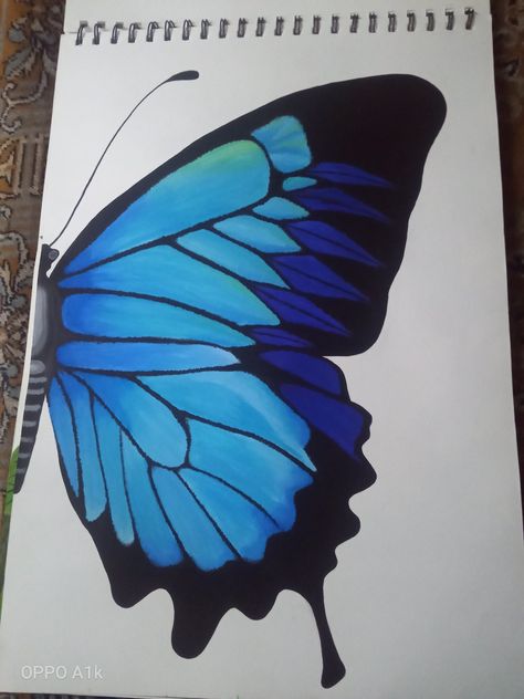 Coloured Drawing Ideas, Contrast Drawing Ideas, Blue Butterfly Drawing, Butterfly Drawing Aesthetic, How To Draw Butterfly, Half Butterfly, Butterfly Art Drawing, Sky Art Painting, Butterfly Art Painting