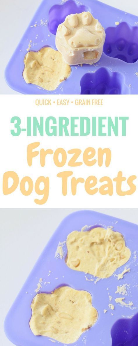 Frosty Paws Recipe, Diy Frosty, Diy Dog Treats Healthy, 3 Ingredient Dog Treats, Frosty Paws, Dog Treats Homemade Easy, Easy Dog Treat Recipes, Diy Dog Food, Frozen Dog Treats