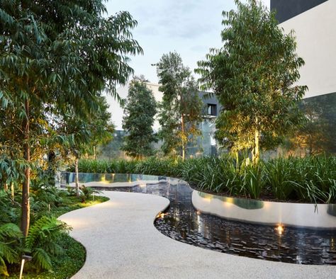 Entrance Idea, Eco Outdoor, Walkways Paths, Coastal Gardens, Landscape Architecture Design, Garden Park, Evergreen Trees, Enchanted Garden, Deciduous Trees