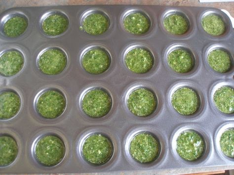 My cilantro always goes bad before I can use it all. Smart idea! Preserving Cilantro, Freezing Cilantro, Cilantro Sauce, Cayenne Pepper, Muffin Tin, Frozen Food, Freezer Meals, Cayenne, Om Nom