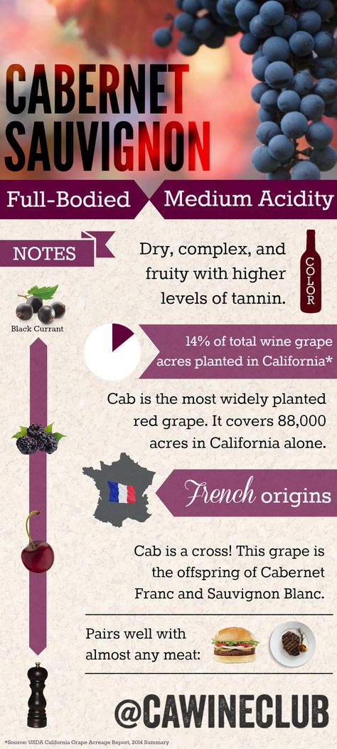 Get the facts on Cabernet Sauvignon #wine #winefacts #cabernetsauvignon #cabernet #cab #infographic Cabernet Sauvignon Wine, Wine Facts, Wine Knowledge, Wine Vineyards, Wine Varietals, Wine Education, Italy Wine, Wine Guide, Wine Clubs