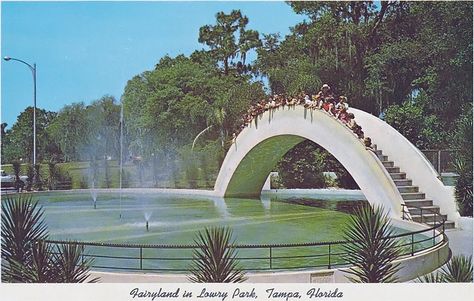 Florida Postcard, Florida Poster, Florida Attractions, Florida Sunshine, Postcard Vintage, Old Florida, Vintage Florida, Old Days, Travel Souvenirs