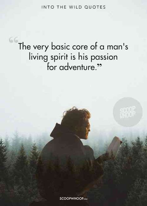 20 'Into The Wild' Quotes That Teach Us That Life Is The Only True Adventure Wild Movie Quotes, Jon Krakauer, Christopher Mccandless, Wild Quotes, Wild Movie, Self Respect Quotes, Wild Tattoo, Notable Quotes, Genius Quotes