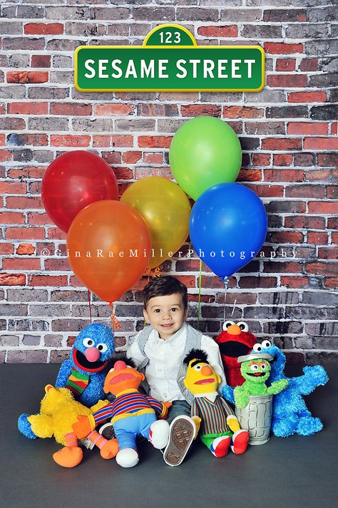 Sesame Street Photo Shoot, Street Photo Shoot, Bday Party Ideas, Sesame Street Birthday Party Ideas Boy, Elmo Birthday Party Boy, Ernie Und Bert, Elmo Birthday Party, Second Birthday Ideas, Sesame Street Birthday Party