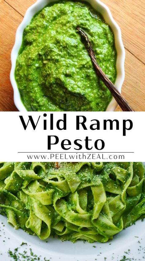 The ultimate ramp PESTO recipe! Great on pasta or smear on a steak. Wild ramps can be found at your local farmers' market or even in your own backyard. Garlic flavor perfect on pasta, over fish or grilled veggies. #ramps #wildleeks #pesto #rampecipes #springonions #foragingrecipe Ramps Recipe, Ramp Recipes, Wild Leeks, Pickled Ramps, Ramp Pesto, Wild Ramps, Easy Spring Recipes, Pesto Recipes, Ottolenghi Recipes