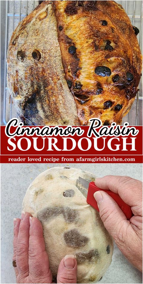 Cinnamon Raisin Sourdough Bread | A Farmgirl's Kitchen Sourdough Raisin Bread Recipe, Sourdough Cinnamon Raisin Bread, Cinnamon Raisin Sourdough Bread, Raisin Sourdough Bread, Cinnamon Raisin Sourdough, Sourdough Cinnamon Raisin, Artisan Sourdough Bread Recipe, Cinnamon Sugar Recipes, King Arthur Flour Recipes