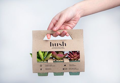 Plant Packaging, Kaktus Dan Sukulen, Vegetable Packaging, Flower Shop Design, نباتات منزلية, Baby Shower Deco, Seed Packaging, Package Ideas, Plant Projects