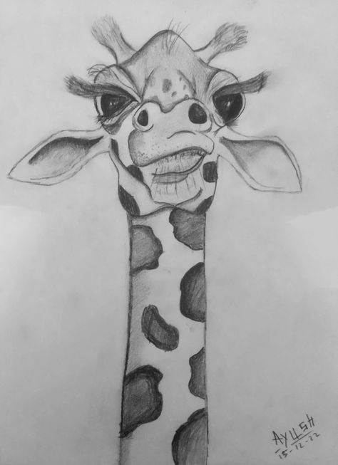 Giraffe Sketch, Shading Art, Giraffe Portrait, Kpop Drawings, Cool Art Drawings, Art Drawing, Line Drawing, Cool Art, Coloring Pages