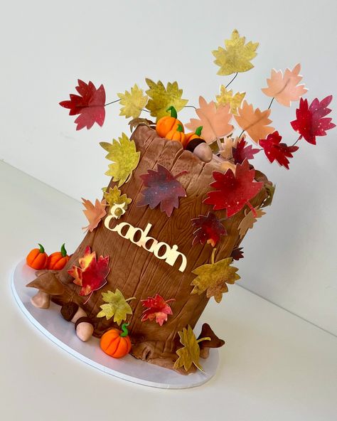 Getting a notification that makes you smile… I’ve had the pleasure of making some lovely cakes for this couple but I think this might be my favourite 🌰 🎃 🍂 🍄‍🟫 A magical naming day cake for their daughter Eadaoin A tree stump with Autumn colour in the fallen leafs, acorns, pumpkins and mushrooms I’ve used edible wafer card that I printed first then cut leafs with my @cricut_uk and then shaped with steam. Loving the texture of the tree stump All edible printing with supplies from @ed... Stump Cake With Mushrooms, Birch Stump Cake, Log Cakes Ideas Tree Stumps, Stump Birthday Cake, Tree Stump Cake With Flowers, Edible Printing, Tree Stump, Make You Smile, Fall Colors