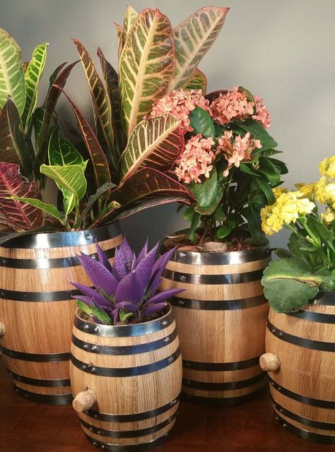 Whiskey Barrel Planter, Patio Pond, Mini Liquor Bottles, Witch Garden, Barrel Planter, Unique Planter, Business Decor, Oak Barrel, Whiskey Barrel