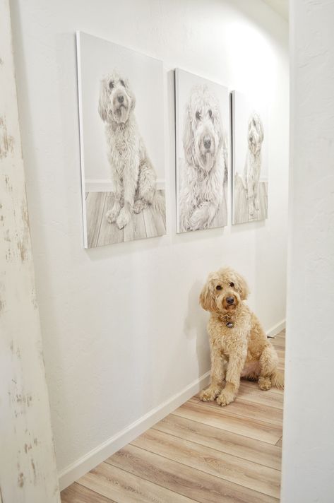 Dog canvas art