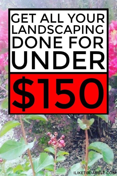 Affordable Landscaping Ideas Front Yard, Front Yard On A Budget, Budget Landscaping Ideas, Yard On A Budget, Landscape Front Yard, Inexpensive Landscaping, Easy Budgeting, Yard Cleanup, Frugal Gardening