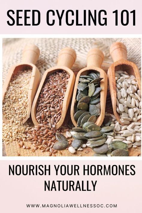 Learn about an all-natural way to rebalance your body with Seed Cycling. Find out how tiny seeds can alleviate menstrual discomfort, optimize fertility, and promote overall hormone health. Get ready to start your seed cycling journey today! Read this post to know more. Cycling Benefits, Seed Cycling, Fertility Health, Progesterone Levels, Balance Hormones Naturally, Fertility Diet, Gut Flora, Liver Detoxification, Wellness Trends