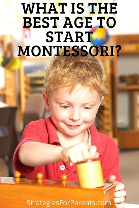 So, you’re wondering when the best time is to start Montessori with your child? The best age to start your child in Montessori is from birth. Montessori is famous for developing materials for infants, such as mobiles that she designed to help babies learn to distinguish different colors. #montessori #montessorimethod #education #earlyeducation #montessoriapproach #homeschooling Montessori Preschool Classroom, Montessori Environment, Montessori Method, Education Tips, Montessori Preschool, The Redwoods, Montessori Education, Montessori Classroom, Montessori Toddler