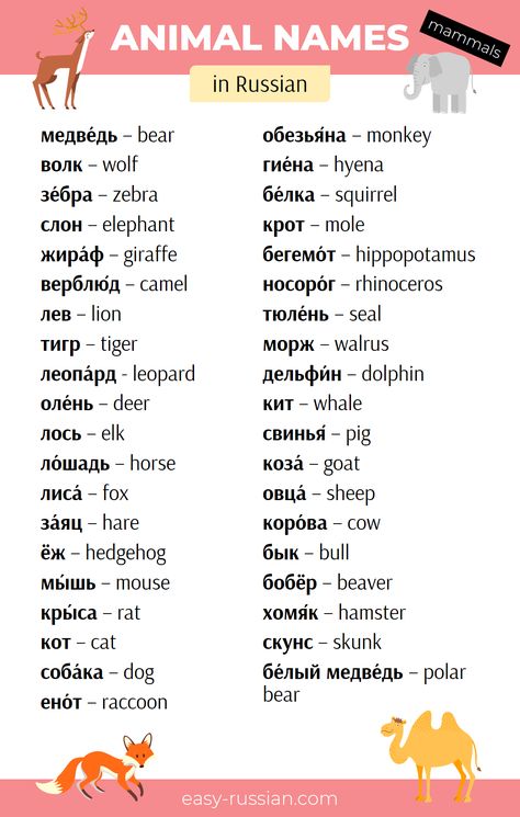 Russian Basics, Russian Vocabulary, Russian Lessons, Learning Russian, Russian Language Lessons, Native Speaker, Language Families, Animal Names, Russian Language Learning