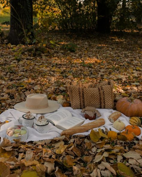 Fall wallpaper cozy picnic vibes · Free Stock Photo Coffee Picnic, Cozy Picnic, Pumpkin Reading, Picnic Vibes, Fall Picnic, Fall Mood, Food Forest, Fall Food, Cooling Blanket