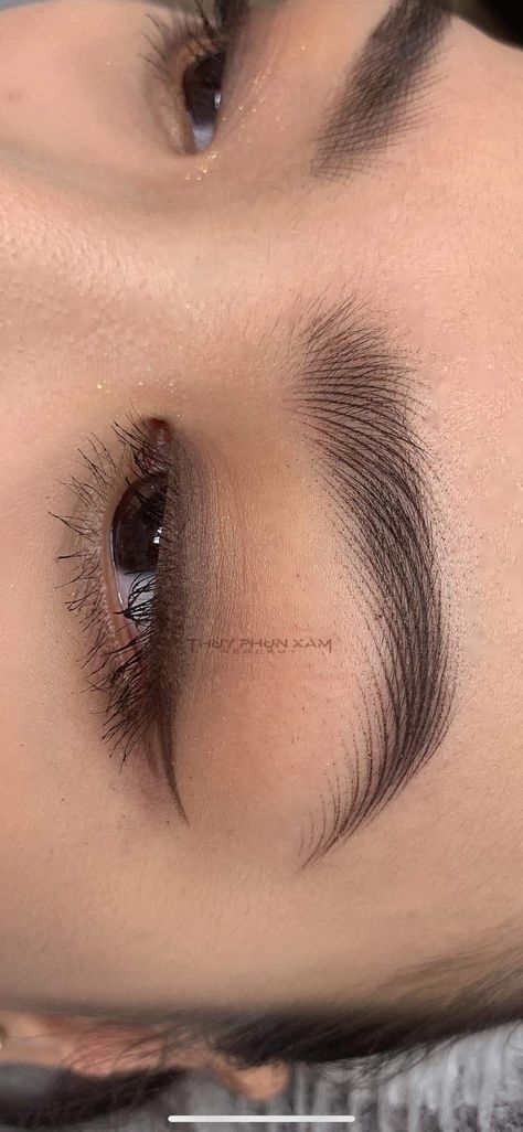 Eyebrows Tattoo Microblading, Hairstroke Eyebrows, Eye Brow Tattoo, Mircoblading Eyebrows, Phi Brows, Feather Brows, Eyebrow Makeup Tutorial, Eyebrow Design, Brow Tattoo