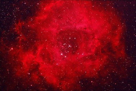 Nat Core, Cosmic Rose, Rosette Nebula, Red Space, Amateur Astronomy, Astronomy, Quran, Chile, Branding