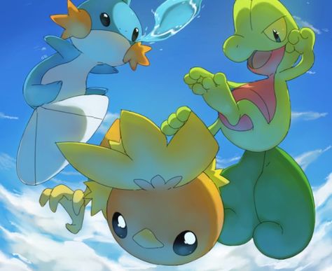 The Hoenn Starters! Which one is your favorite? . . . . . #pokemon #gen3 #hoenn #treecko #torchic #mudkip #fire #water #grass #ruby… Hoenn Starters, Kyogre Pokemon, Deviantart Pokemon, Pokemon Official, Pokemon Pocket, Pokemon 20, Tumblr Post, Pokemon Coloring, Pokémon Master