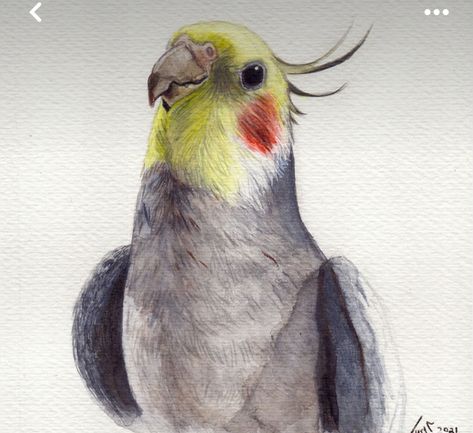 Nature Art Painting, Animated Drawings, Bird Drawings, Realistic Drawings, Book Art Drawings, Cool Art Drawings, Watercolor Animals, Colorful Drawings, Line Art Drawings