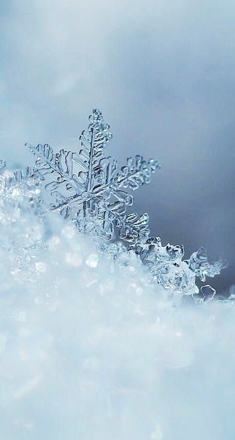 Background Android, Snowflake Wallpaper, Winter Iphone, Iphone Wallpaper Winter, Lock Screen Wallpaper Iphone, Back Wallpaper, Wallpapers Android, Winter Background, Winter Nature