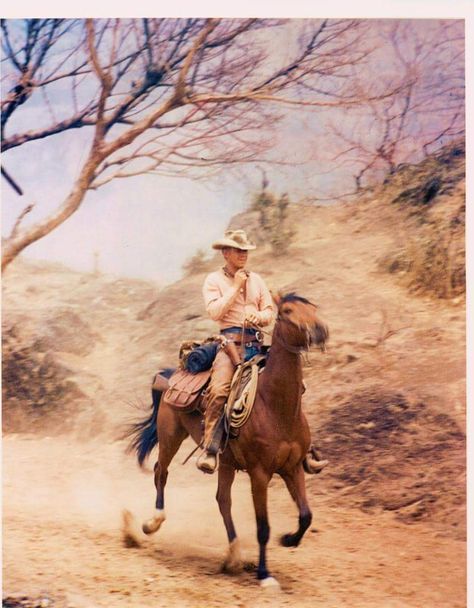 Magnificent Seven 1960, Alive Film, Magnificent 7, Cowboys And Angels, Magnificent Seven, Cowboy Pictures, The Magnificent Seven, Steve Mc, Historical Movies