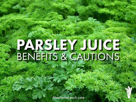 Parsley Juice, Weekend Cleanse, Parsley Benefits, Cleanse Juice, Juice Benefits, Kidney Recipes, Cleanse Diet, Beauty Diet, Cucumber Juice