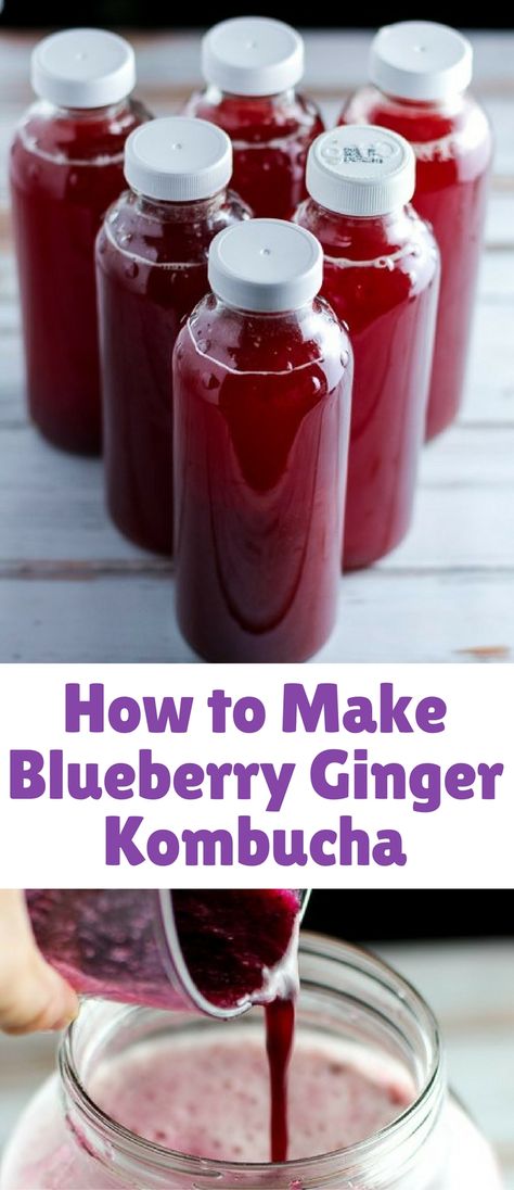 Ginger Kombucha Recipe, Blueberry Kombucha, Kombucha Flavors Recipes, Ginger Kombucha, Kombucha Flavors, Kombucha Scoby, Homemade Kombucha, Kombucha Recipe, Fermented Tea