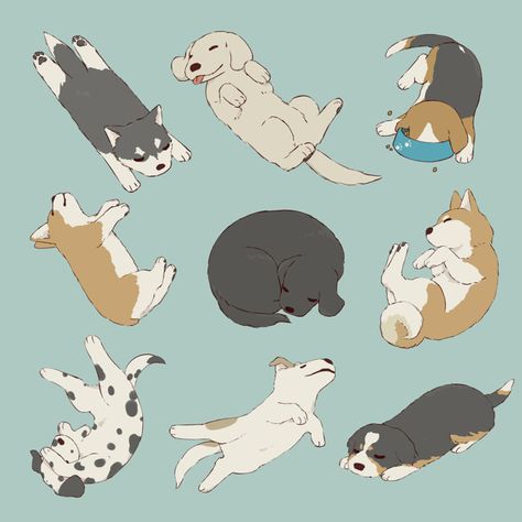 Sleeping Pose, Sleeping Drawing, Sun Projects, Daisy Dog, 강아지 그림, Cute Paintings, Dog Illustration, Sleeping Dogs, Dog Drawing