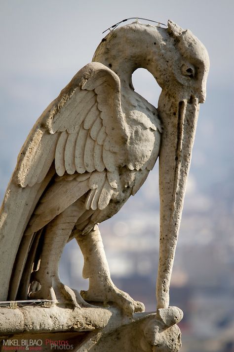 Gargoyle figure. Notre Dame Cathedral. Paris, France, Europe. Notre Dame Gargoyles, Gargoyles Art, Gothic Gargoyles, Paris Rooftops, Notre Dame Cathedral, Ange Demon, I Love Paris, Classical Architecture, Paris Travel