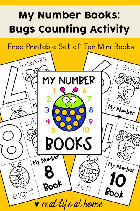 Children can work on counting and number recognition with this free set of My Numbers Mini Books with a bug theme for preschool and kindergarten. #PreschoolMathPrintables #KindergartenMathPrintables #PrintableMiniBooks #Insects Preschool Math Printables, Kindergarten Math Printables, Theme For Preschool, Elementary Printables, Free Math Printables, Counting Activities Preschool, Free Educational Printables, Homeschooling Preschool, Insect Activities