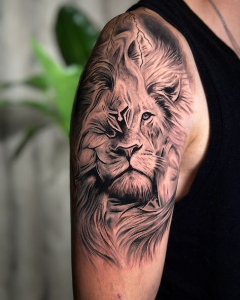 🦁⚔️ Roaring strength and warrior spirit embodied in this Spartan lion tattoo 🖋️🛡️ #SpartanLionTattoo #WarriorInk #CourageAndStrength #TattooMajesty Roaring Lion Tattoo, Roaring Lion, Warrior Spirit, Lion Tattoo, Tattoo Designs, Lion, Tattoos, Pins, Quick Saves