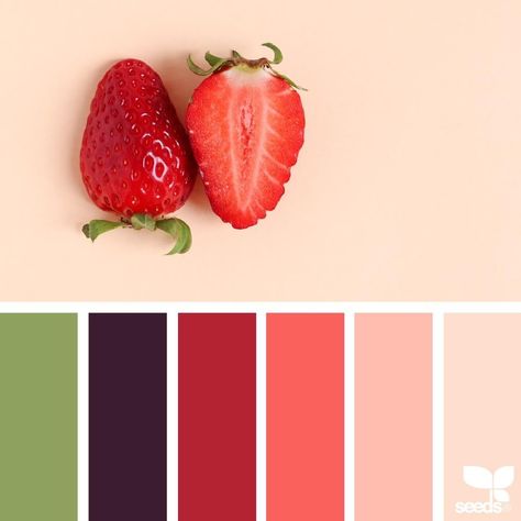 today's inspiration image for { fresh hues } is by @georgina.ambruska ... thank you, Gina, for another wonderful #SeedsColor image share! Color Schemes Design, Seeds Color, Color Palette Challenge, Hue Color, Grey Color Scheme, Handmade Inspiration, Design Seeds, Color Harmony, Colour Field