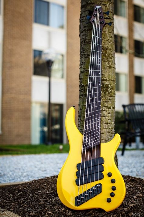 Dingwall Bass Guitar, Custom Bass Guitar, Custom Bass, Bass Guitar Lessons, Cheap Guitars, All About That Bass, Guitar Playing, Guitar Tips, Bass Guitars