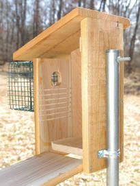 Nestbox Plans – North American Bluebird Society Bluebird House Plans, Blue Bird House, Bird House Plans Free, Bird Feeder Plans, Homemade Bird Houses, Bluebird House, Bird House Feeder, Nest Box, Bird House Plans