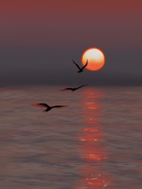 Bird Falling From Sky, Birds Sunset, Ocean Birds, Dove Flying, Ocean Drawing, Flight Rising, Flying Together, Senior Project, Beautiful Flowers Photos