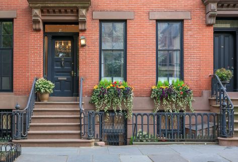 7 Tips for Beautiful Window Boxes All Year Round | Brownstoner Year Round Window Boxes, Year Round Window Boxes Plants, Wood Window Boxes, Window Box Plants, Fiberglass Windows, Victorian Bathroom, Front Steps, Window Ideas, Beautiful Windows