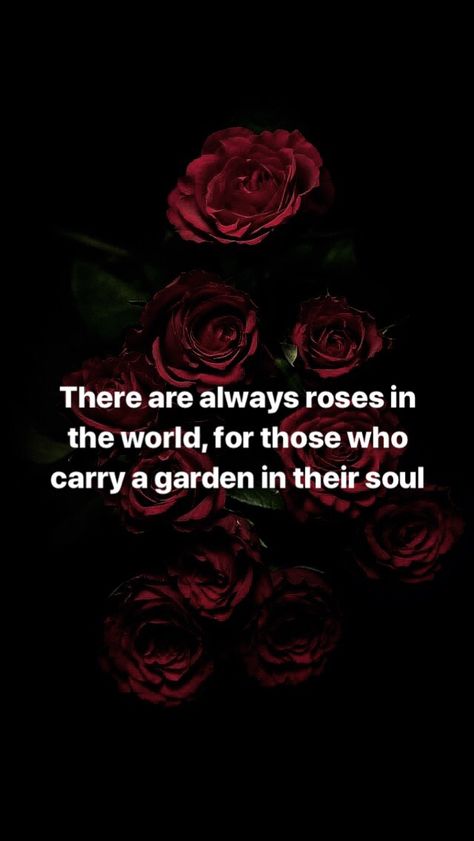 Poems With Roses, Quote Rose Flowers, Rose Flower Quotes Short Beautiful, Beautiful Roses Quotes Inspirational, Red Roses Quotes Beauty, Roses Quotes Aesthetic, Rose Quotes Poetry, Rose Quotes Inspirational Short, Red Roses Quotes