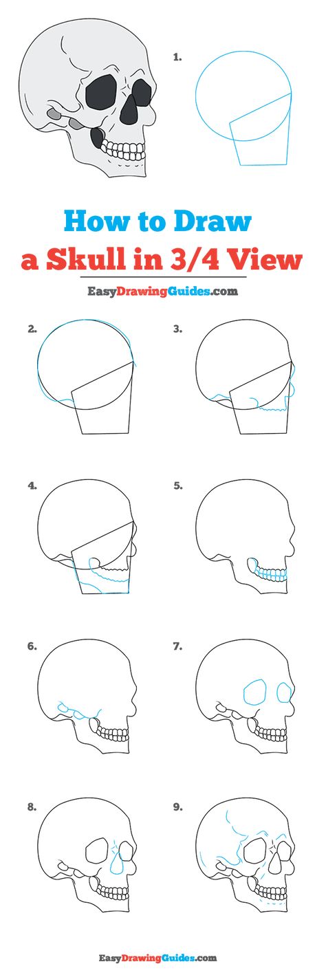 How to Draw Skull in 3/4 View Skeleton Art Drawing Easy Step By Step, Graffiti Drawing Step By Step, Skull Step By Step Drawing, How To Draw Skulls Step By Step, How To Draw A Skull, Draw A Skull, Easy Skull Drawings, View Drawing, Pencil Sketches Easy