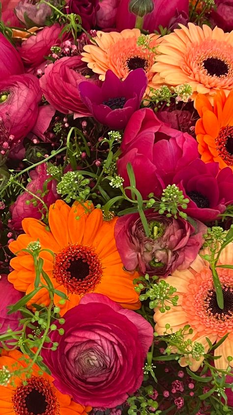 Bouquet de fleurs roses et oranges Pink Orange Flowers Aesthetic, Widget Orange, Planer 2024, Wallpaper Pink And Orange, Pink Homescreen, Elle Rose, 21 Diner, Summer Wallpapers, Fleur Orange